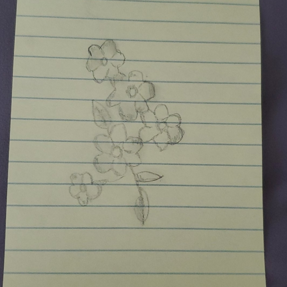 Flower drawing